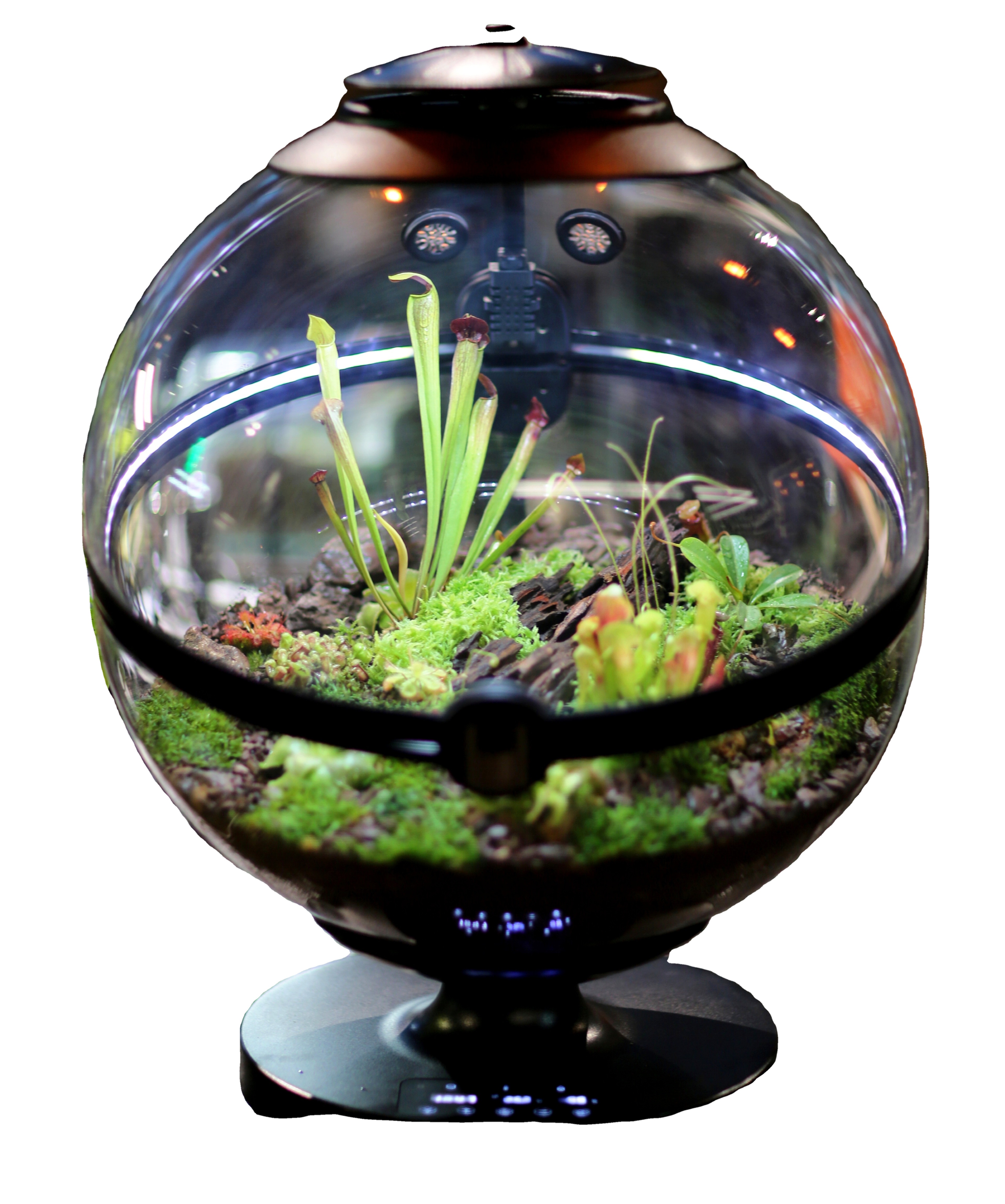 Aquarium Fish For Sale - Hot Sales Acrylic Material Ball Plant
