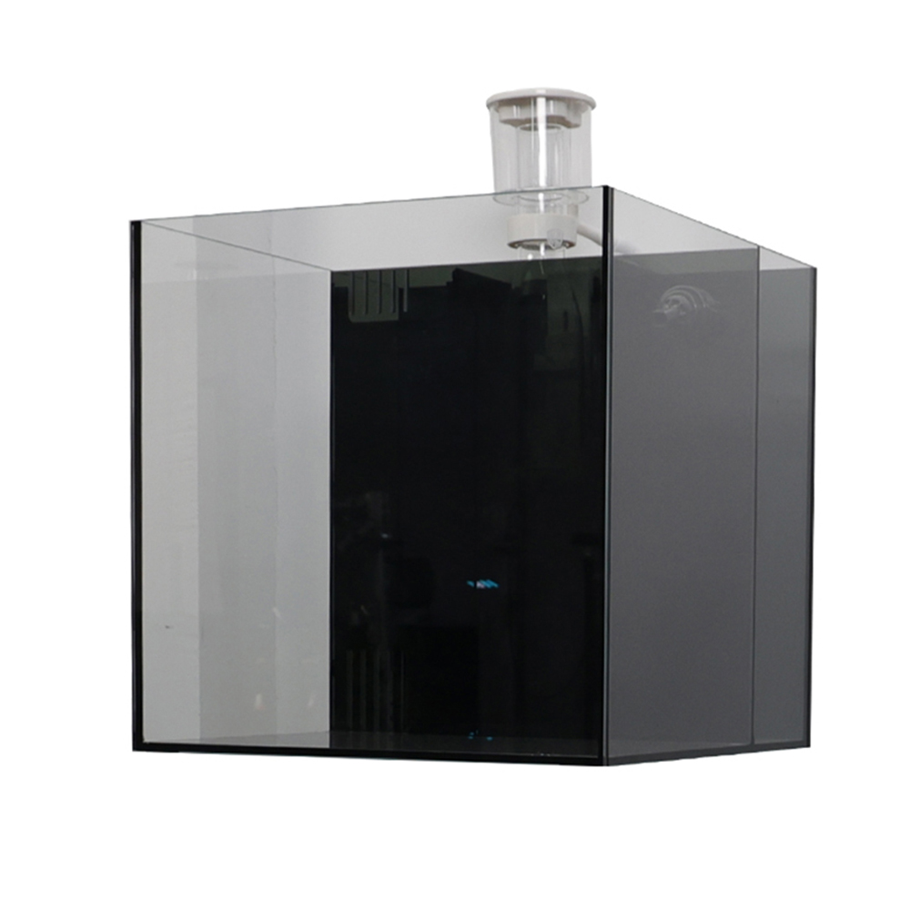Aquarium Fish For Sale - Indoor Glass Frameless Fish Aquarium Tank