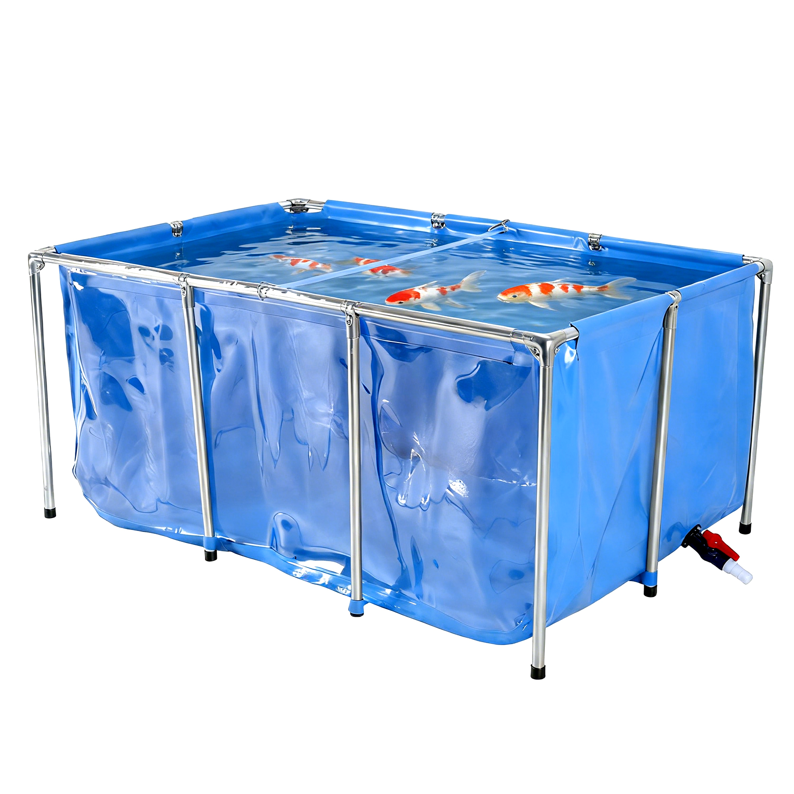 Aquarium Fish Koi - Aquarium Fish Tank Small Above Ground