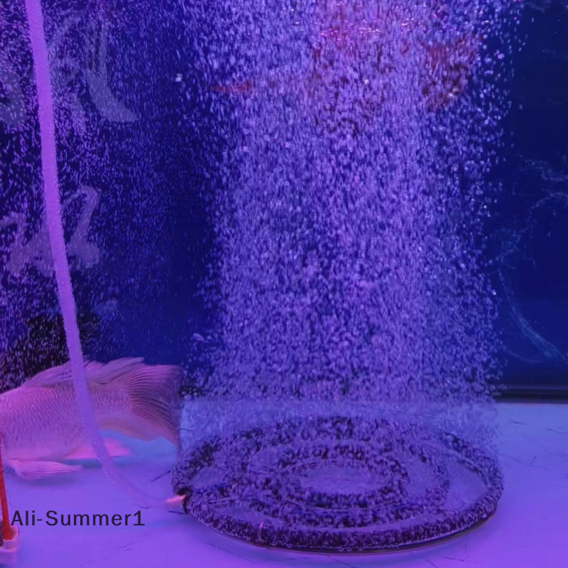 【E】1pcs 304 Stainless Steel Ko - Aquarium Fish Koi incelemesi ve fiyatı