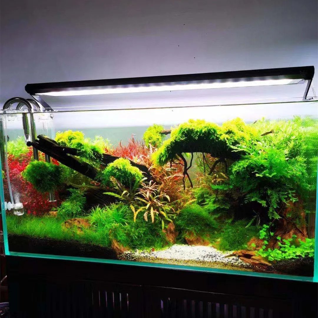 Week Aqua P Series Ver.3 P600  - Aquarium Fish App incelemesi ve fiyatı