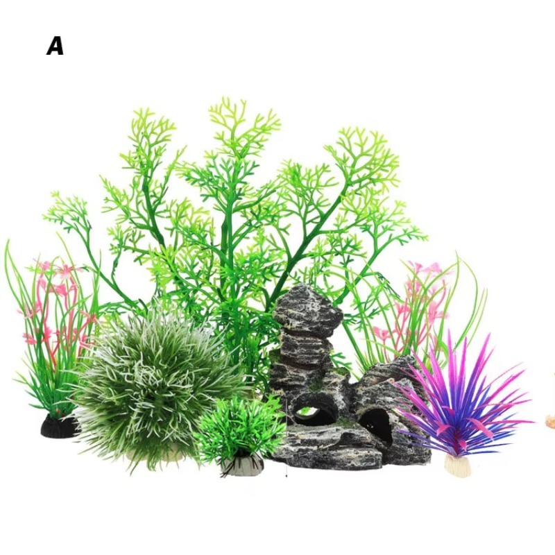10pcs Hot Selling New Arrival  - Aquarium Fish For Sale incelemesi ve fiyatı