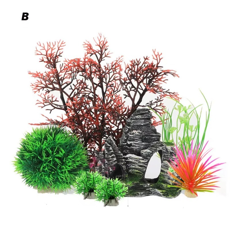 10pcs Hot Selling New Arrival  - Aquarium Fish For Sale incelemesi ve fiyatı