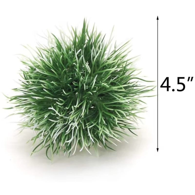 10pcs Hot Selling New Arrival  - Aquarium Fish For Sale incelemesi ve fiyatı