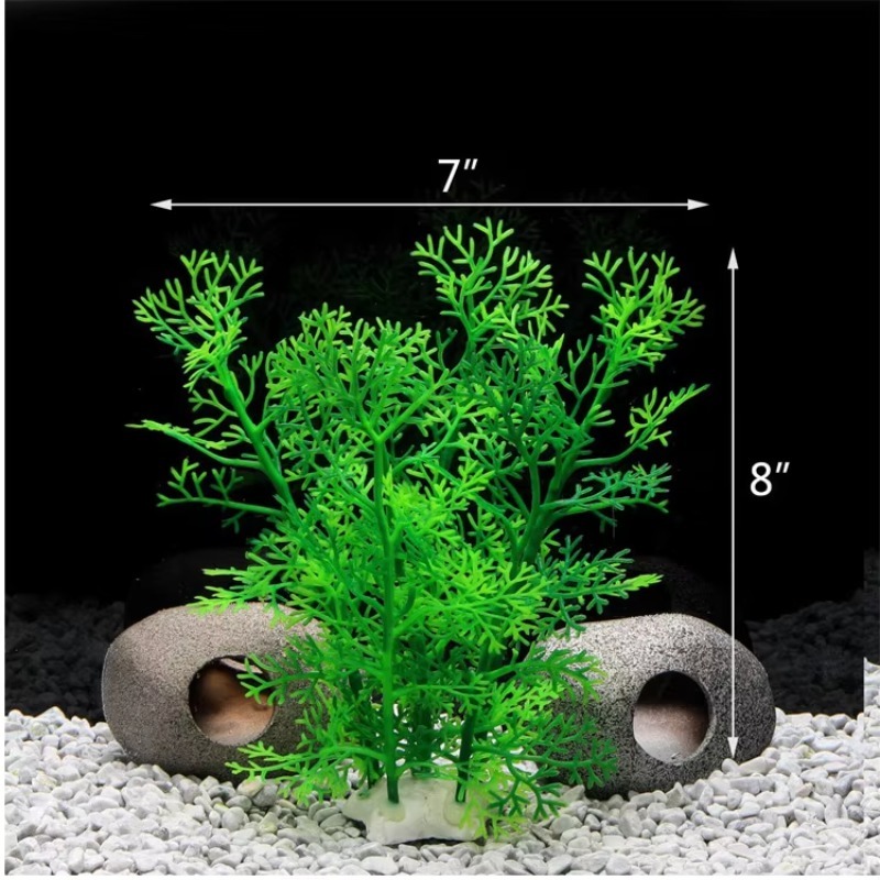 10pcs Hot Selling New Arrival  - Aquarium Fish For Sale incelemesi ve fiyatı