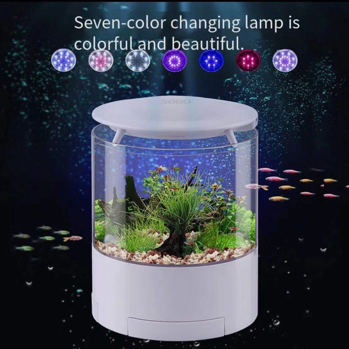 Round colorful lights desktop  - Aquarium Fish For Sale incelemesi ve fiyatı