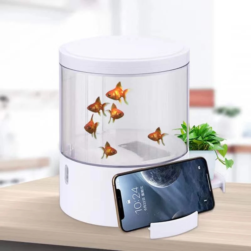 Round colorful lights desktop  - Aquarium Fish For Sale incelemesi ve fiyatı