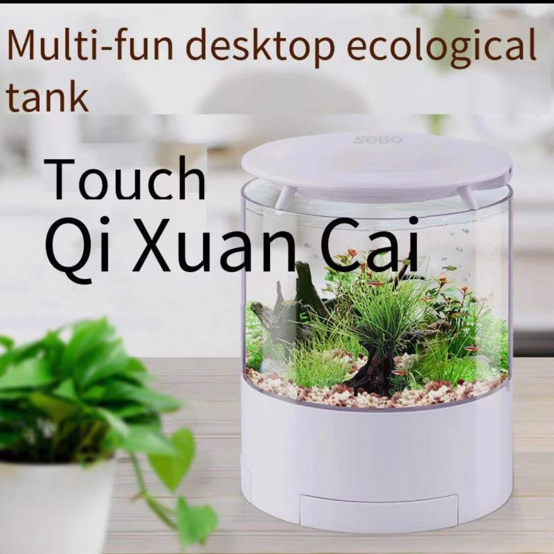 Round colorful lights desktop  - Aquarium Fish For Sale incelemesi ve fiyatı