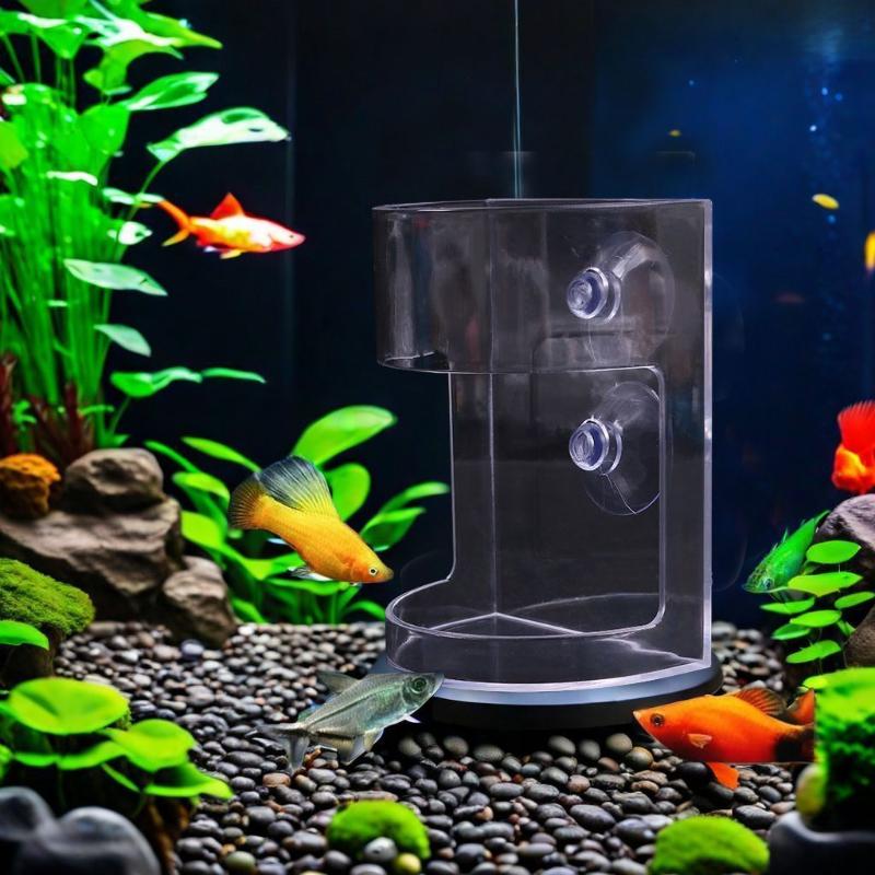 Popular 1/3/5Pcs Floating Food - Aquarium Fish Popular incelemesi ve fiyatı