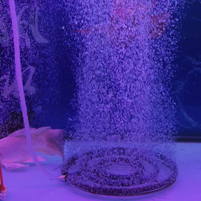 304 Stainless Steel Nano Oxyge - Aquarium Fish Koi incelemesi ve fiyatı