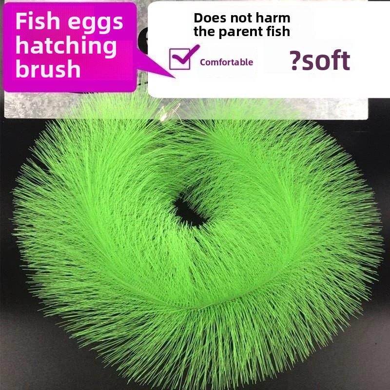 Breeding Grass for Koi Fish Eg - Aquarium Fish Koi incelemesi ve fiyatı