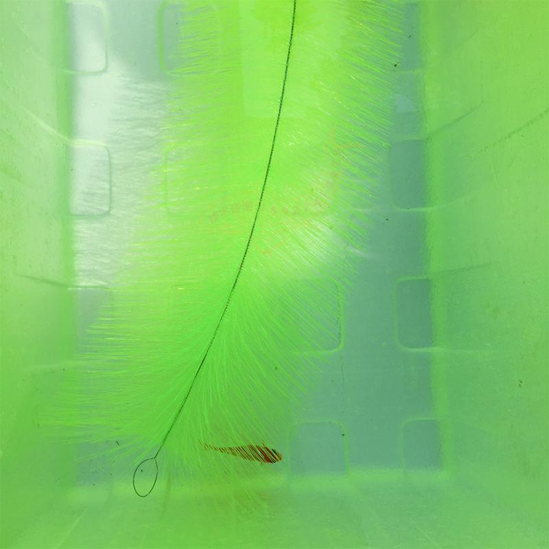 Breeding Grass for Koi Fish Eg - Aquarium Fish Koi incelemesi ve fiyatı