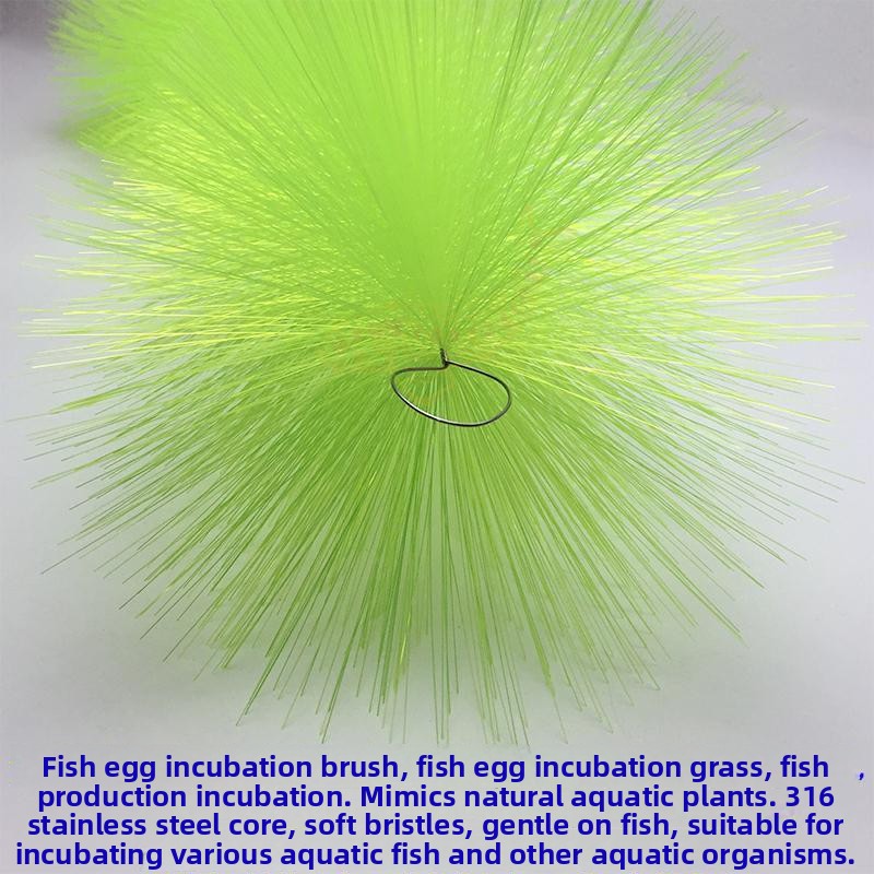 Breeding Grass for Koi Fish Eg - Aquarium Fish Koi incelemesi ve fiyatı