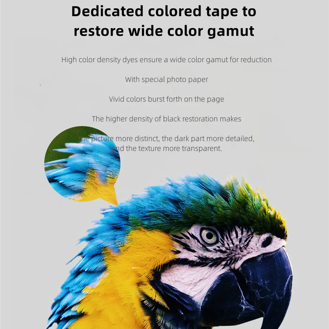 MIjia Photo Printer Dedicated  - Aquarium Xiaomi incelemesi ve fiyatı