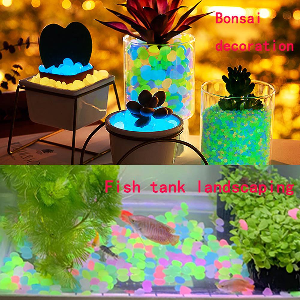 50Pcs Luminous Stones Fish Tan - Aquarium Fish That Glow In The Dark incelemesi ve fiyatı