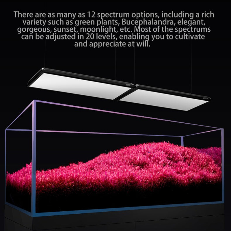 Netlea AT7S II - AT6 PRO Light - Aquarium Fish App incelemesi ve fiyatı