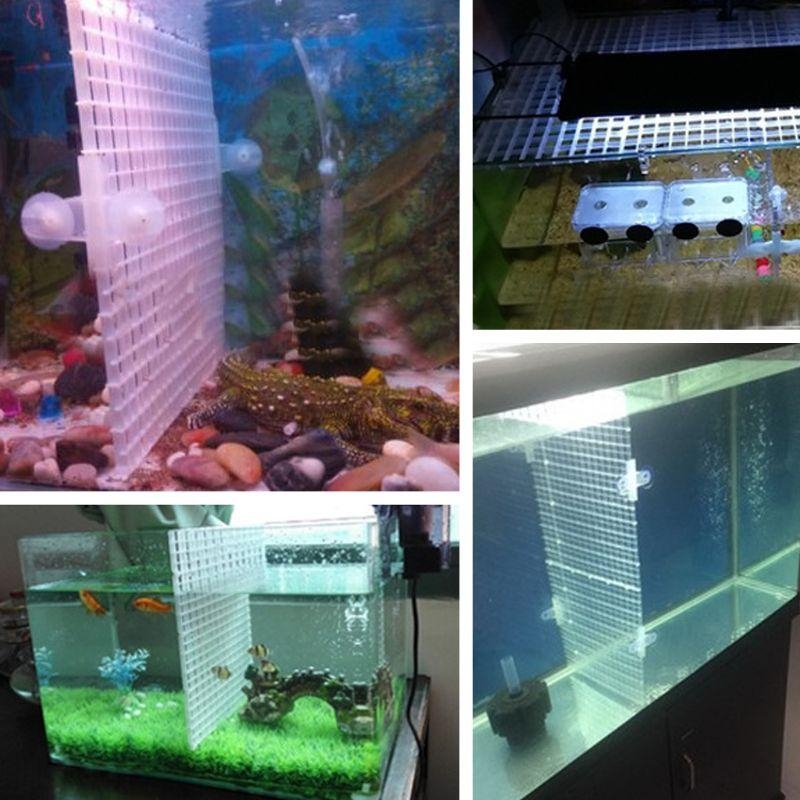 Aquarium Bottom Plate Fish for - Aquarium Fish For Sale incelemesi ve fiyatı