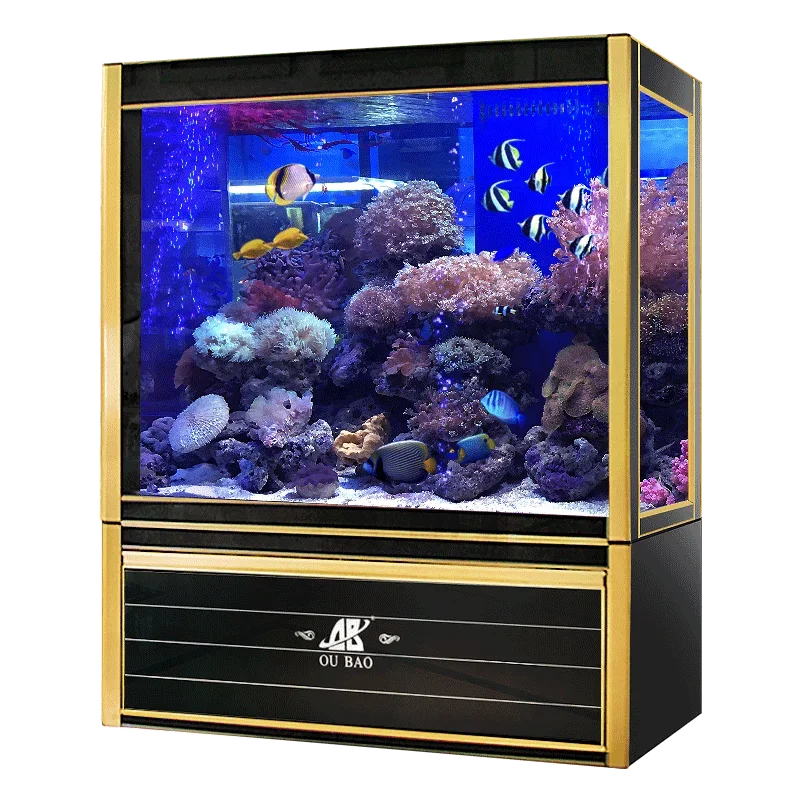 #s Aquariums & Accessories Bes - Aquarium Fish For Sale incelemesi ve fiyatı