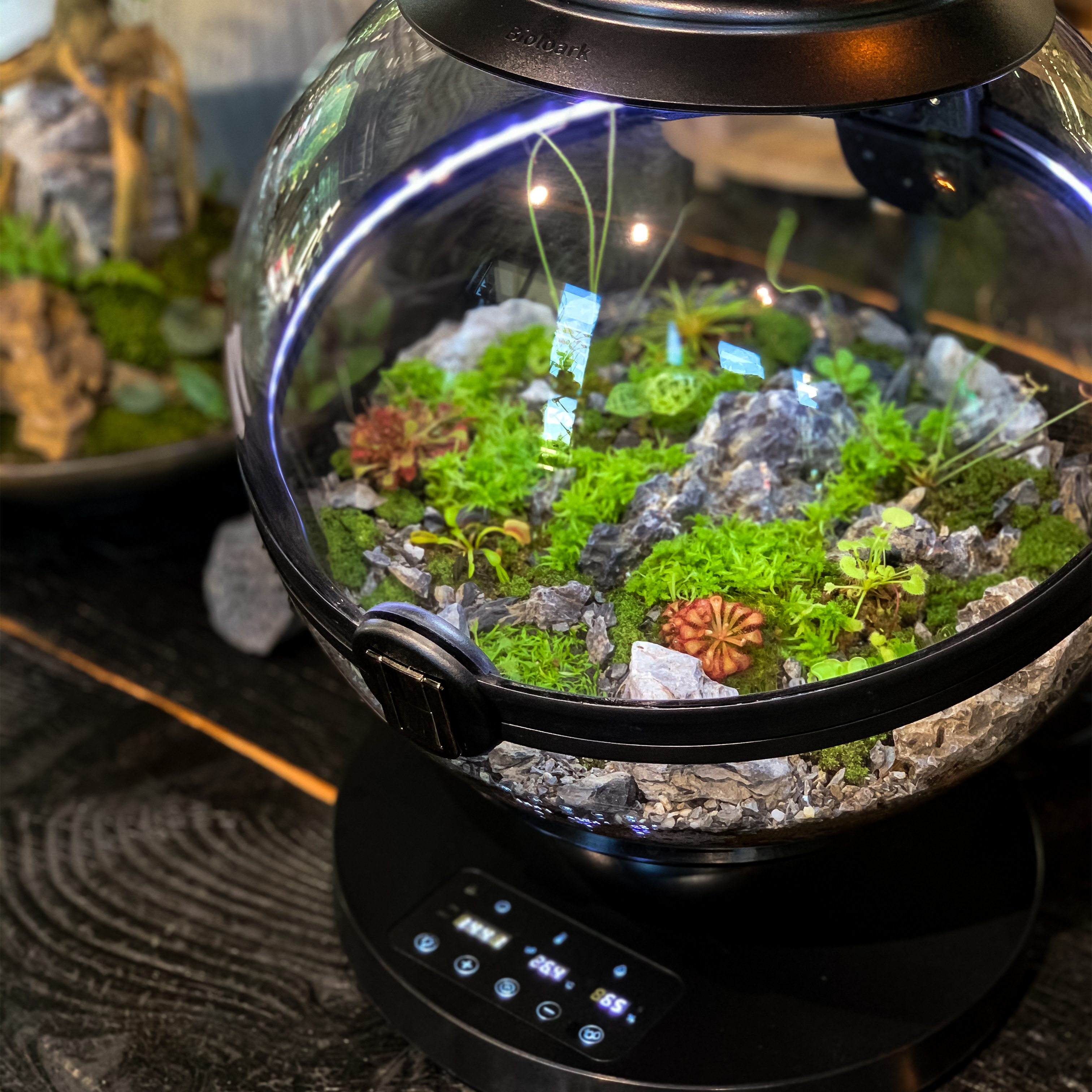 Hot Sales Acrylic Material  Ba - Aquarium Fish For Sale incelemesi ve fiyatı
