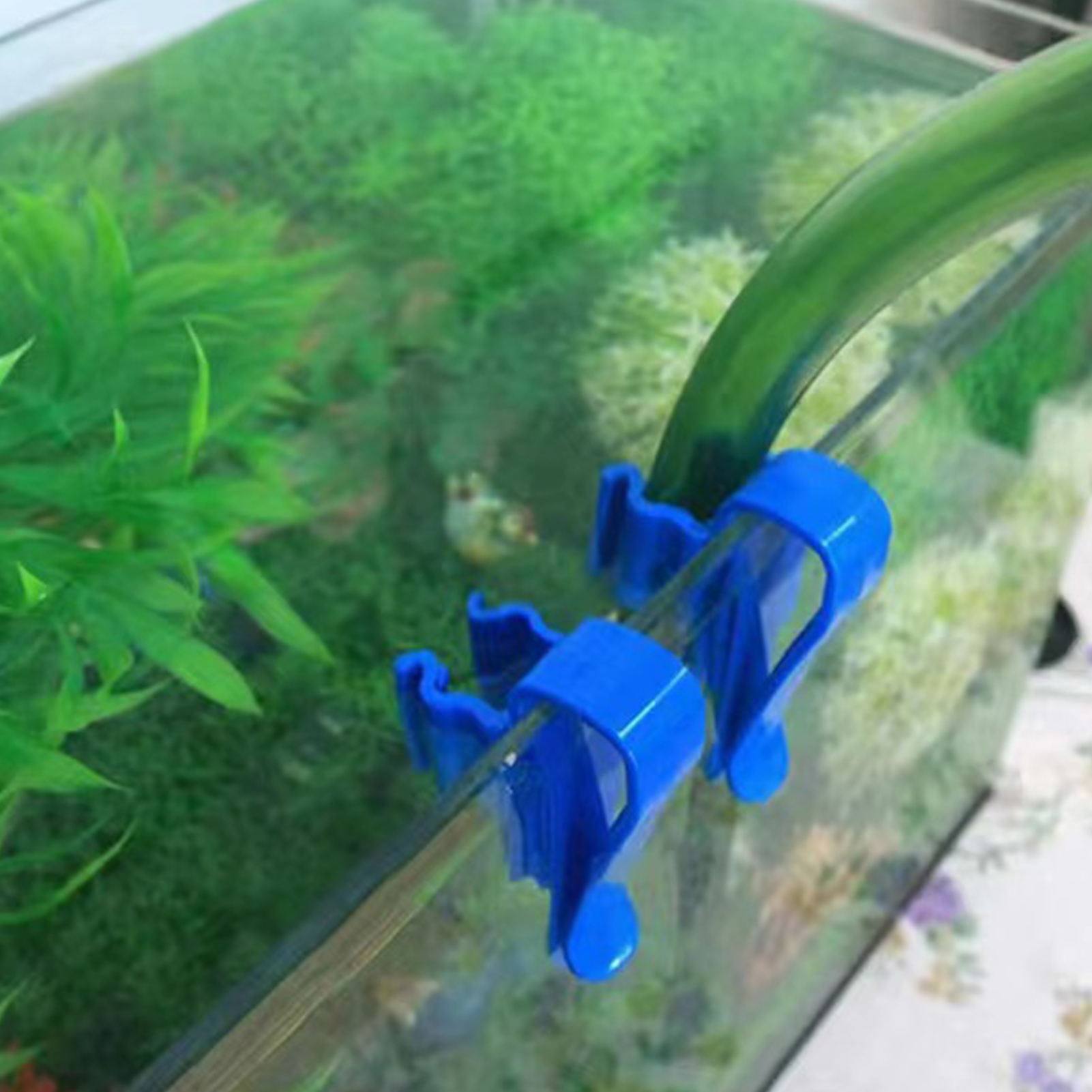 Aquarium Tube Holder Clip Fish - Aquarium Fish Care incelemesi ve fiyatı