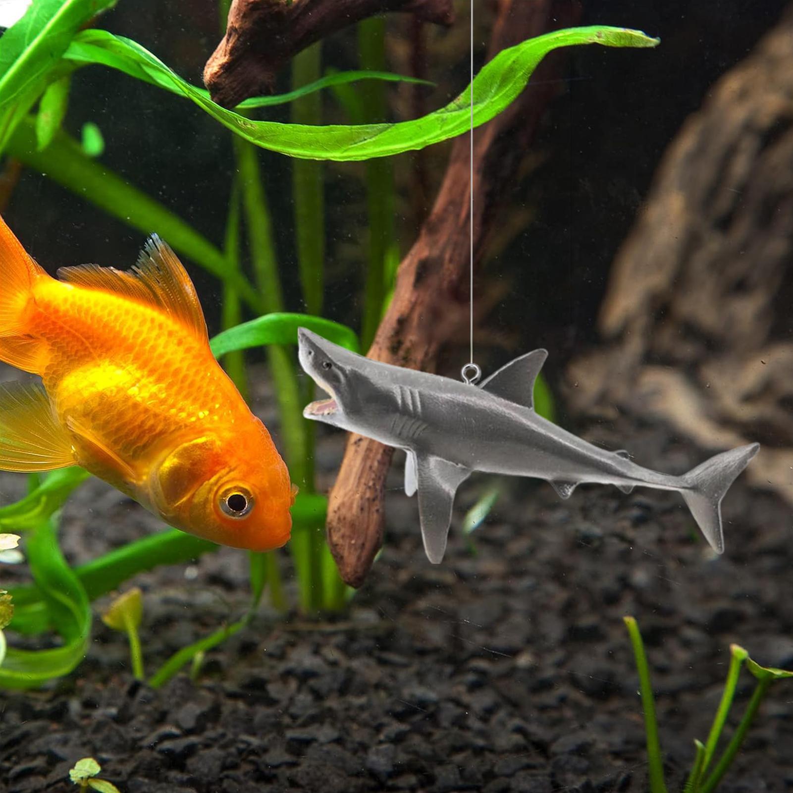 Floating Shark Aquarium Landsc - Aquarium Fish Shark incelemesi ve fiyatı