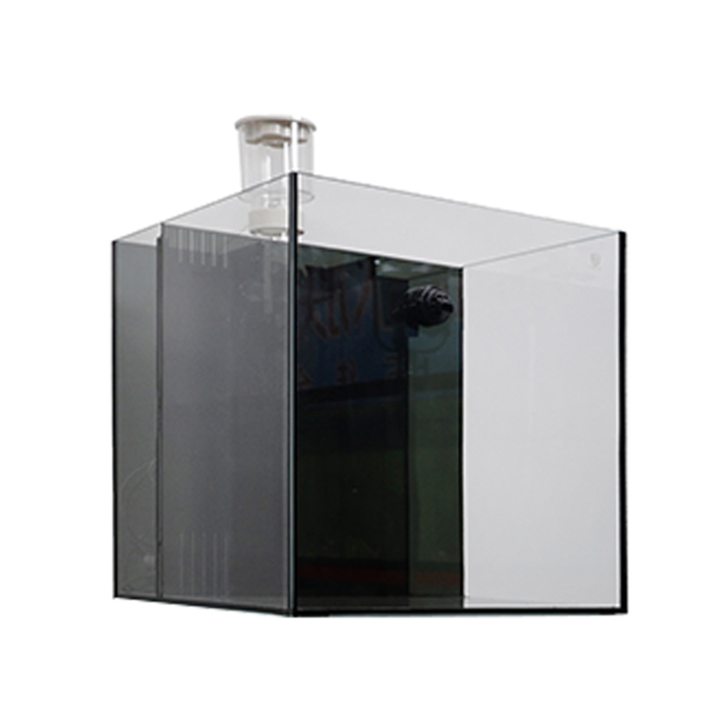 Indoor Glass Frameless Fish Aq - Aquarium Fish For Sale incelemesi ve fiyatı