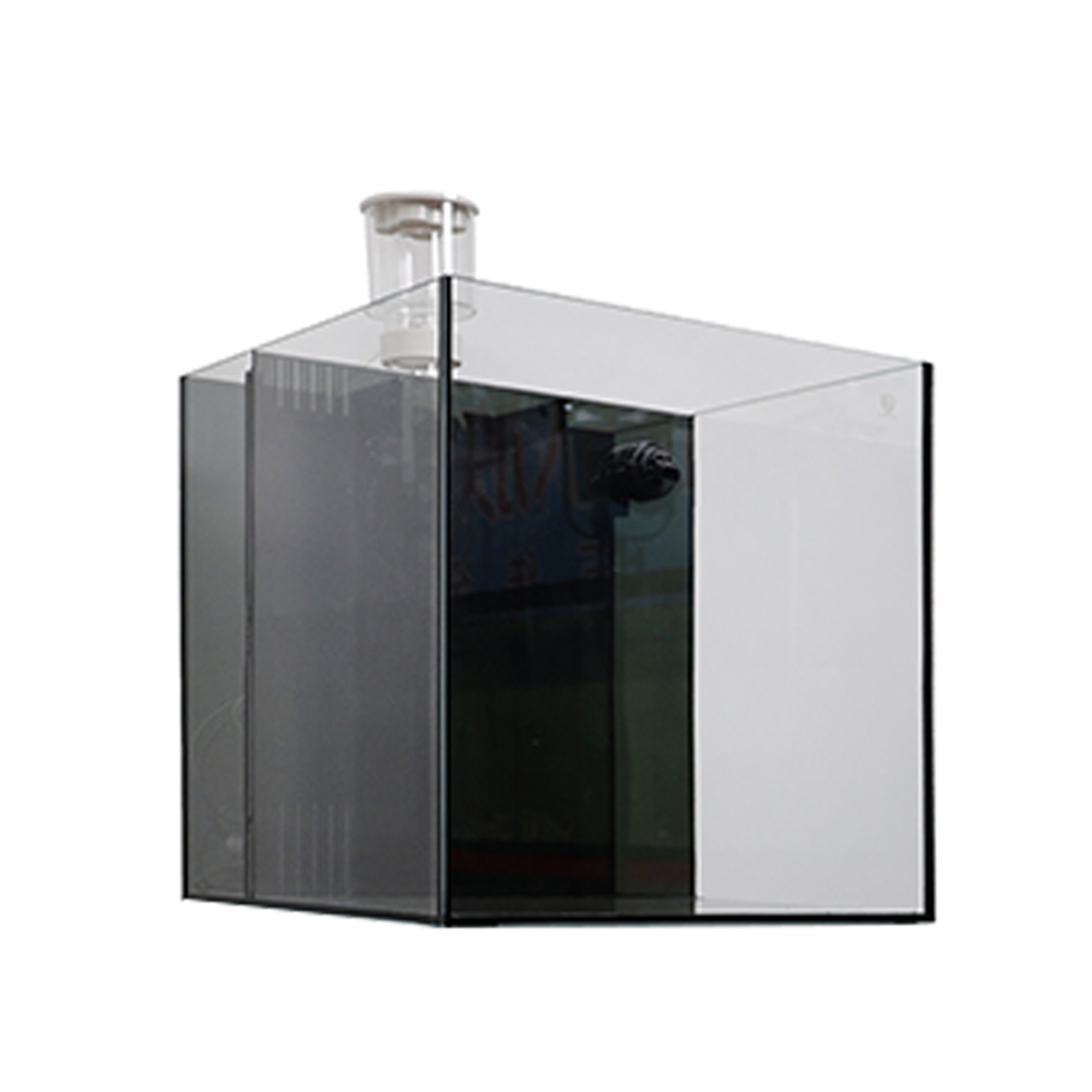 Indoor Glass Frameless Fish Aq - Aquarium Fish For Sale incelemesi ve fiyatı