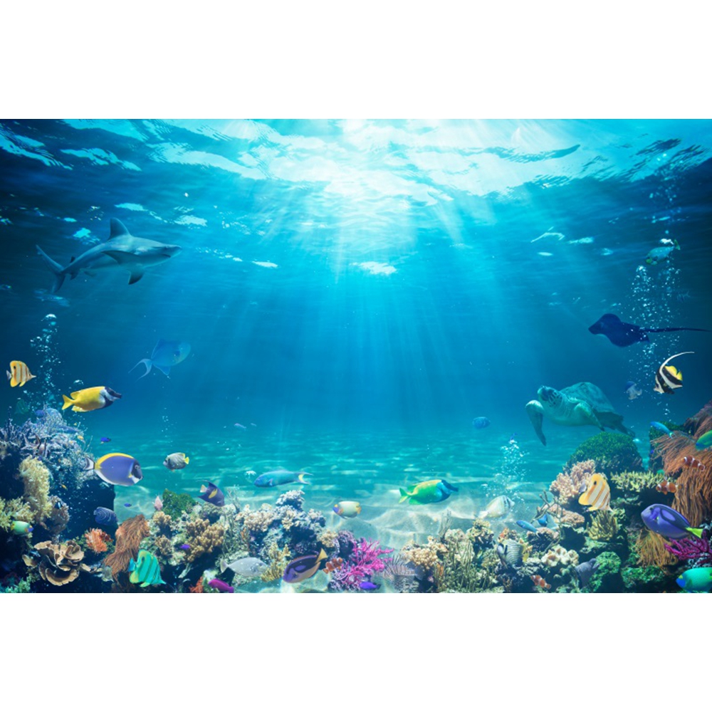 Underwater World Seabed Backdr - Aquarium Fish Shark incelemesi ve fiyatı
