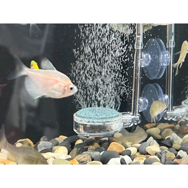 FOR Xiaomi Mijia smart aquariu - Aquarium Xiaomi incelemesi ve fiyatı