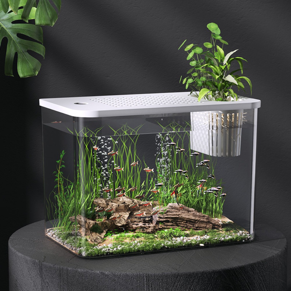 PET+ABS Fish Tank Transparent  - Aquarium Fish For Sale incelemesi ve fiyatı