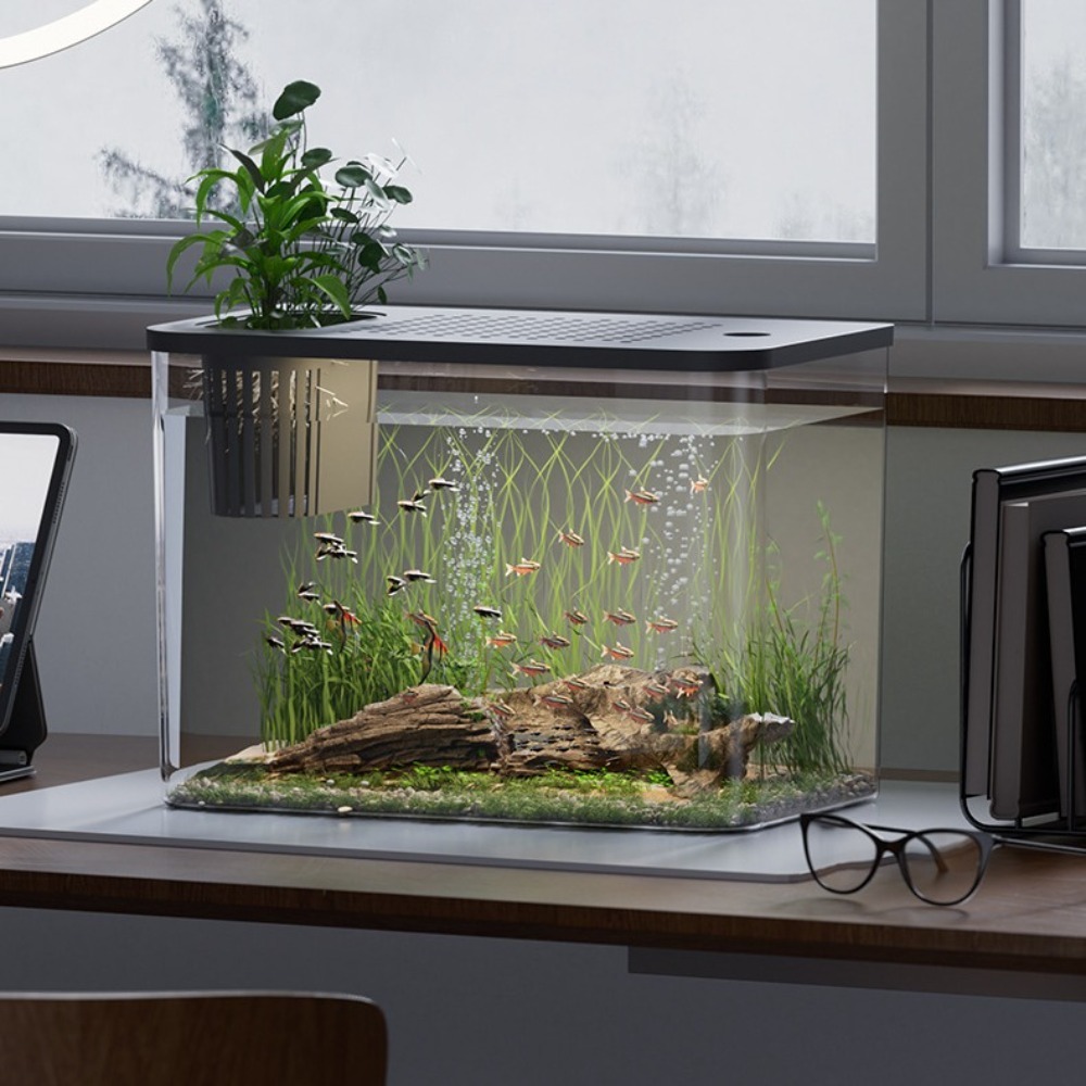 PET+ABS Fish Tank Transparent  - Aquarium Fish For Sale incelemesi ve fiyatı