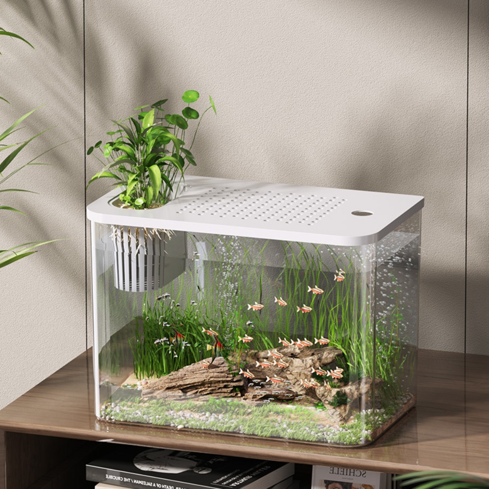 PET+ABS Fish Tank Transparent  - Aquarium Fish For Sale incelemesi ve fiyatı