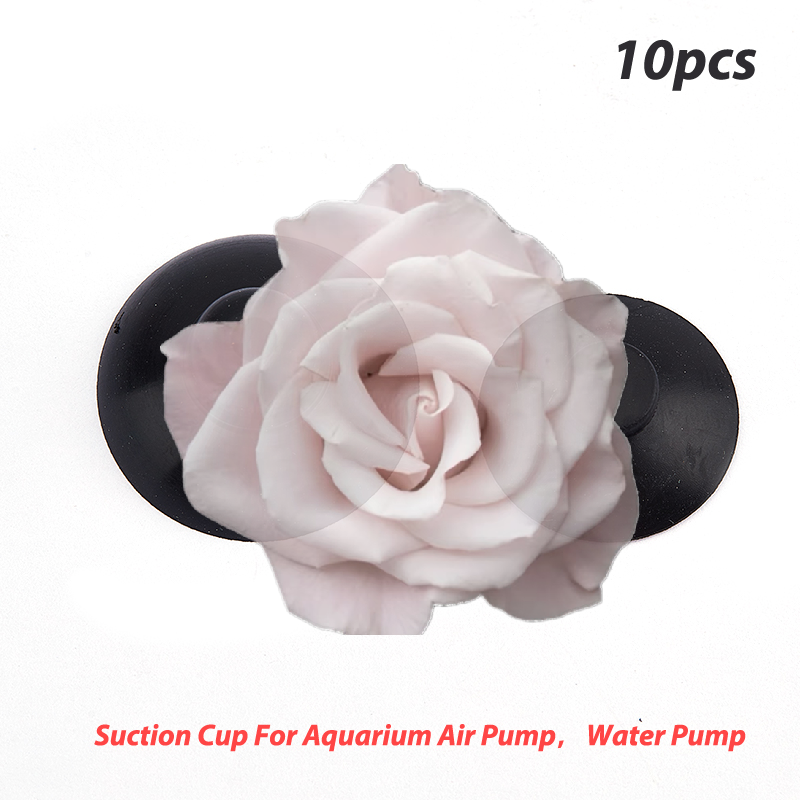 Popular 10Pcs Aquarium Fish Ta - Aquarium Fish Popular incelemesi ve fiyatı