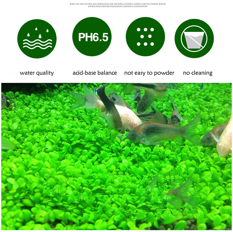 Aquarium Plant Seeds Soil Fish - Aquarium Fish Care incelemesi ve fiyatı