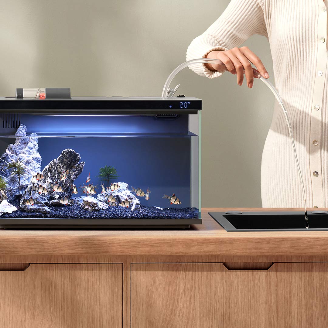 Xiaomi Mijia Smart Fish Tank M - Aquarium Xiaomi incelemesi ve fiyatı