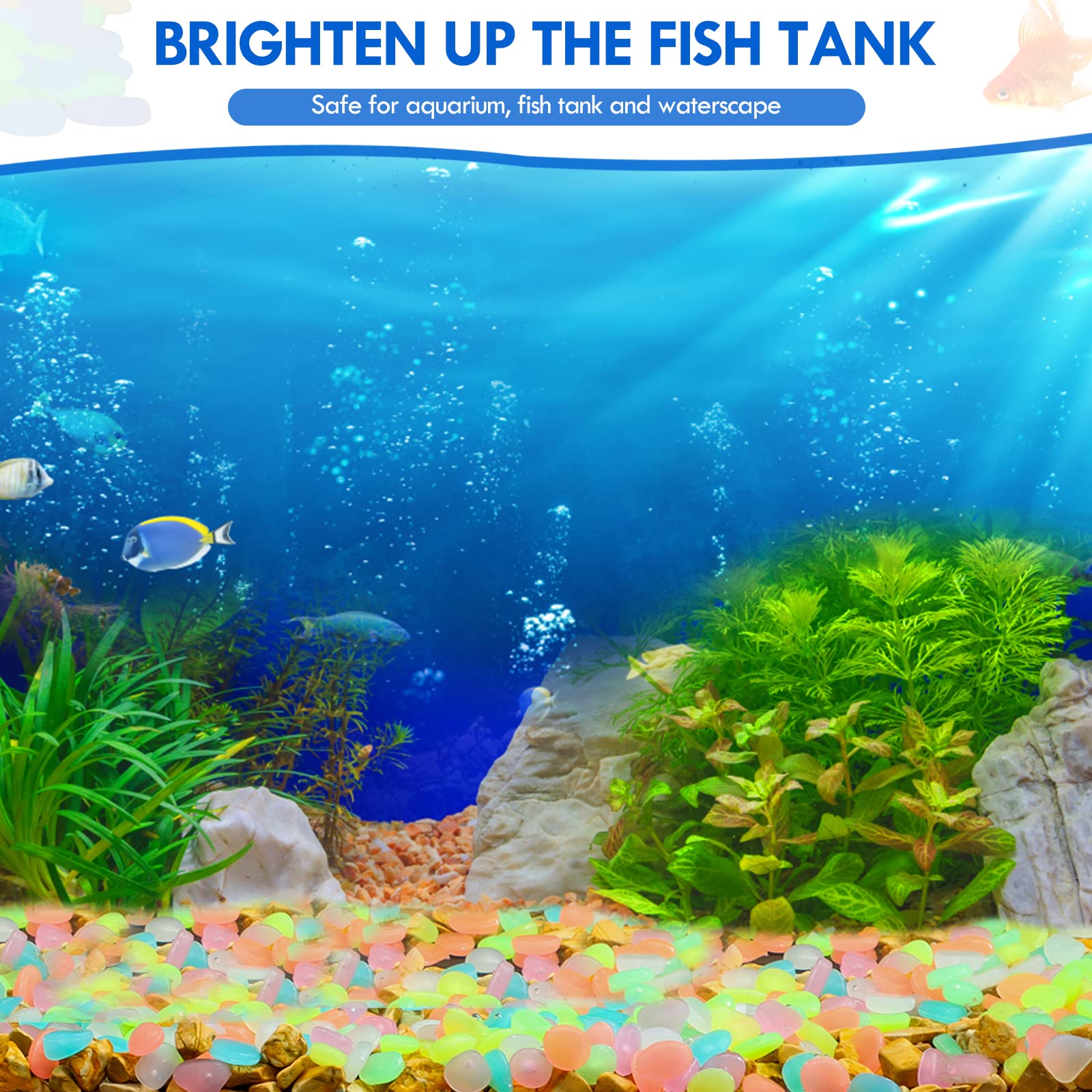 100Pcs Glow in the Dark Garden - Aquarium Fish That Glow In The Dark incelemesi ve fiyatı