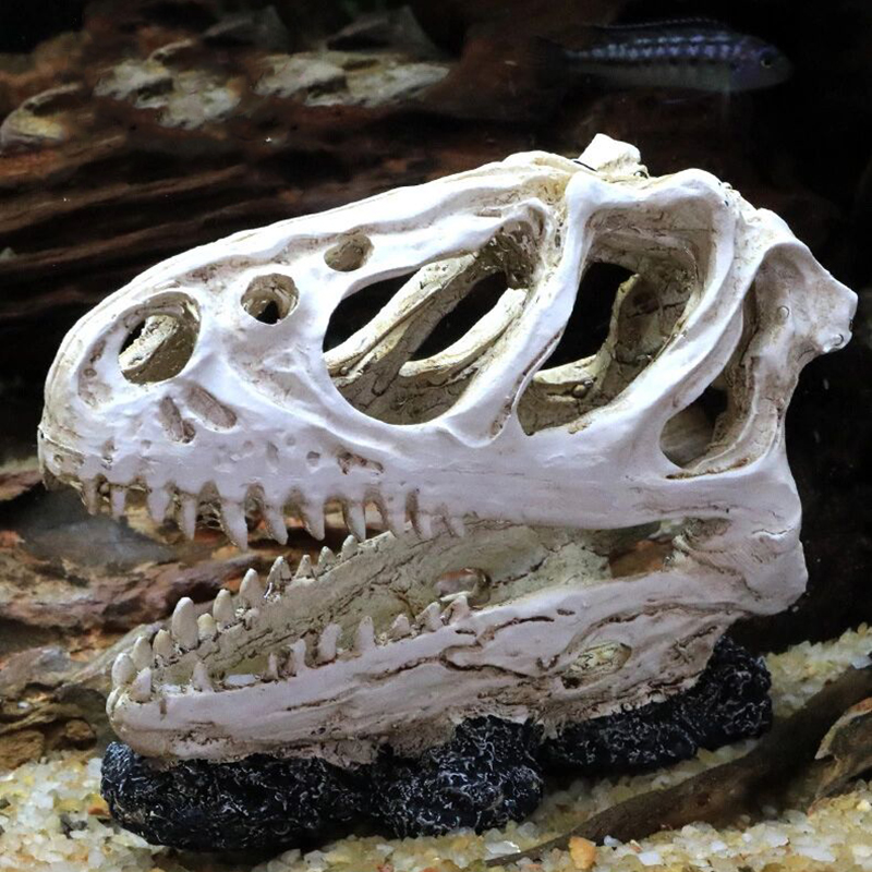 Aquarium Fish Tank Dinosaur He - Aquarium Fish Popular incelemesi ve fiyatı