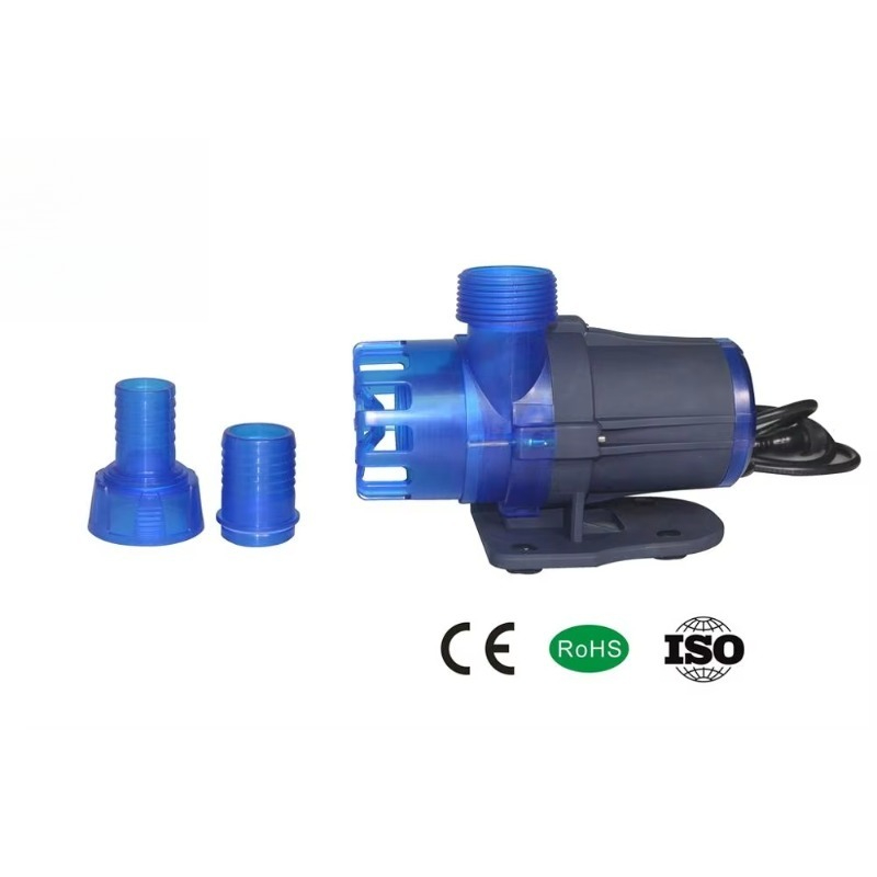 Hot Sale Extra Quiet Seawater  - Aquarium Fish For Sale incelemesi ve fiyatı