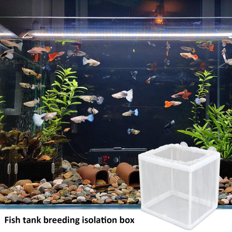 Fish Breeder Box with Suction, - Aquarium Fish For Sale incelemesi ve fiyatı