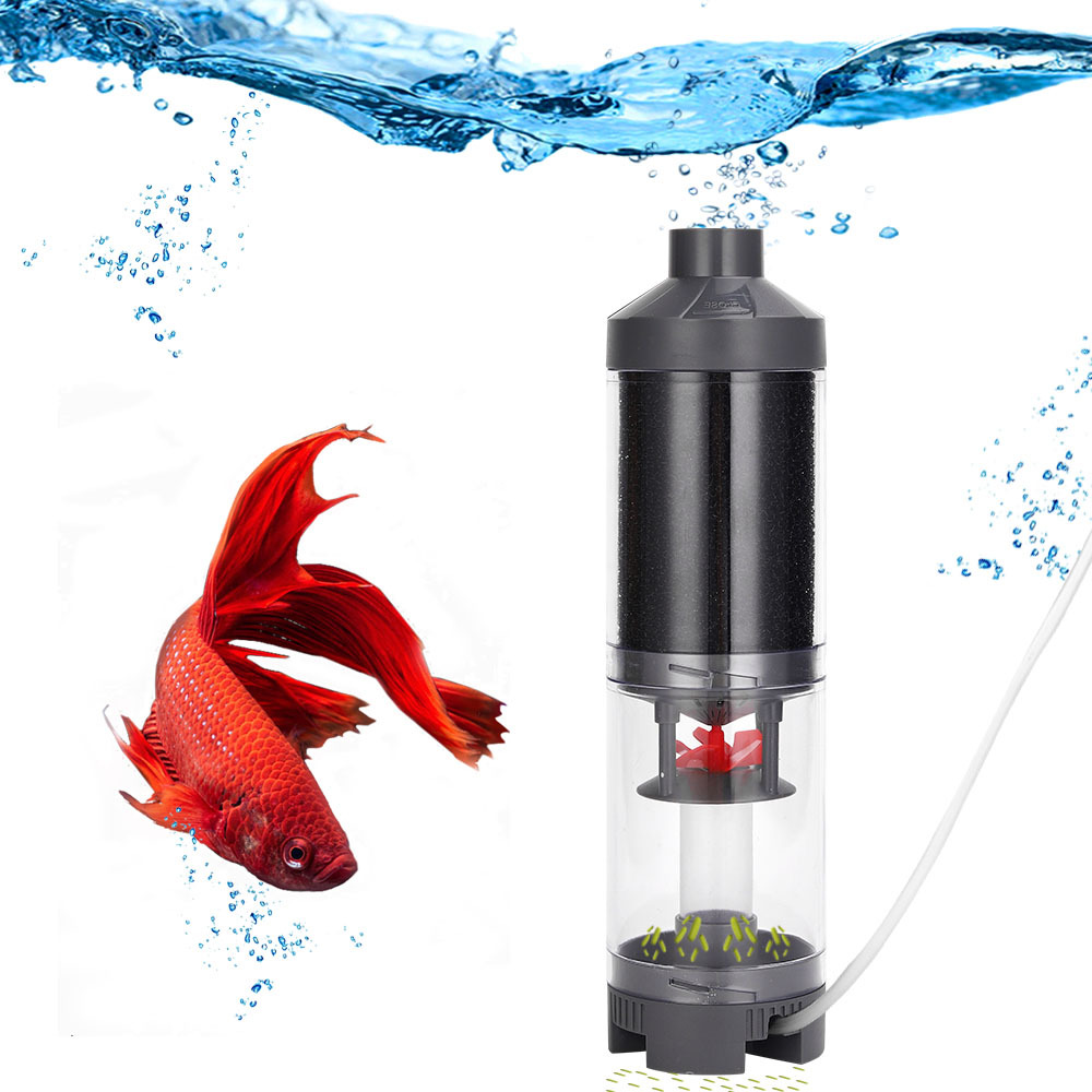 Popular Hot sell Aquarium Fish - Aquarium Fish Popular incelemesi ve fiyatı