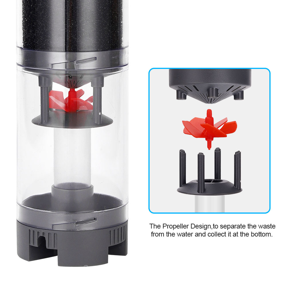 Popular Hot sell Aquarium Fish - Aquarium Fish Popular incelemesi ve fiyatı