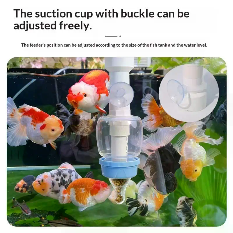 Popular Precise Fish Pacifier  - Aquarium Fish Popular incelemesi ve fiyatı