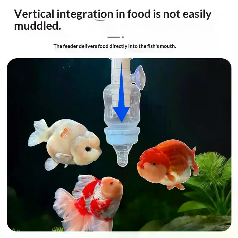Popular Precise Fish Pacifier  - Aquarium Fish Popular incelemesi ve fiyatı