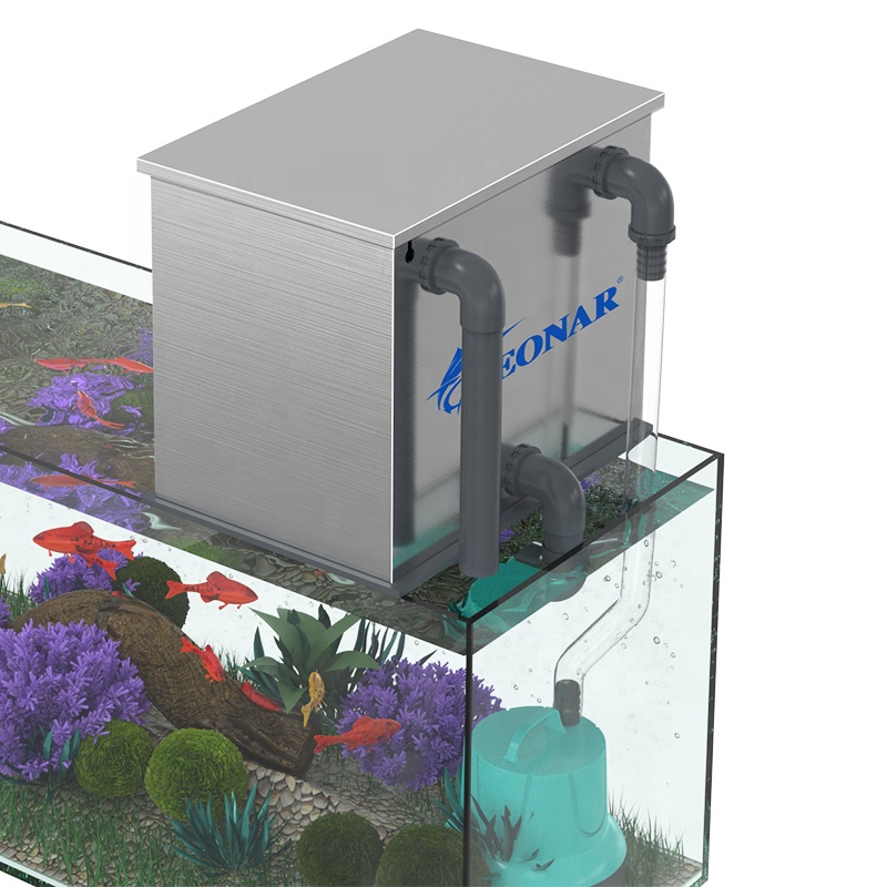 Factory Direct Sales Aquarium  - Aquarium Fish For Sale incelemesi ve fiyatı