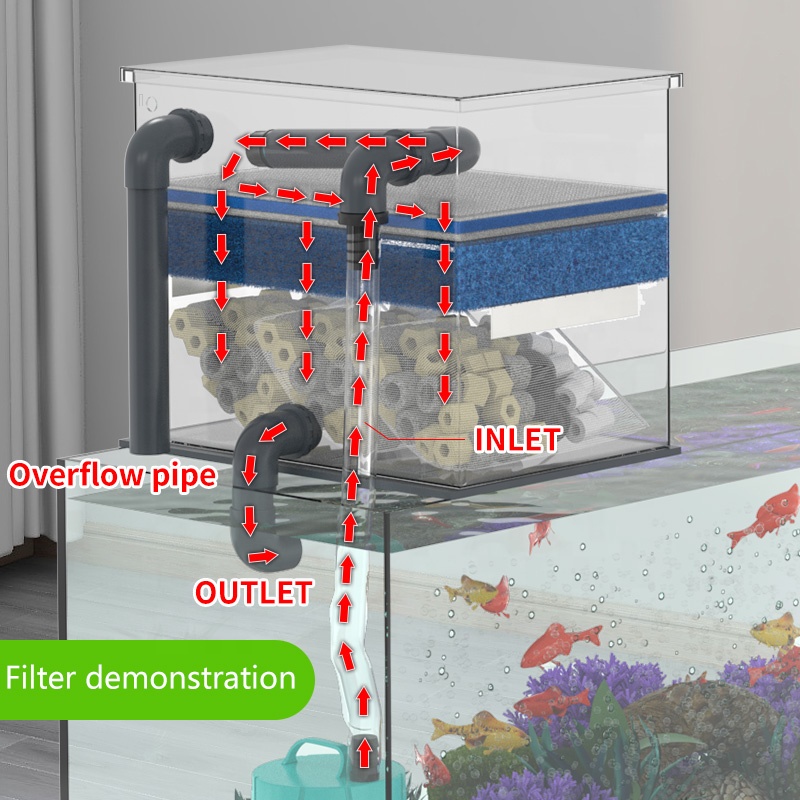 Factory Direct Sales Aquarium  - Aquarium Fish For Sale incelemesi ve fiyatı