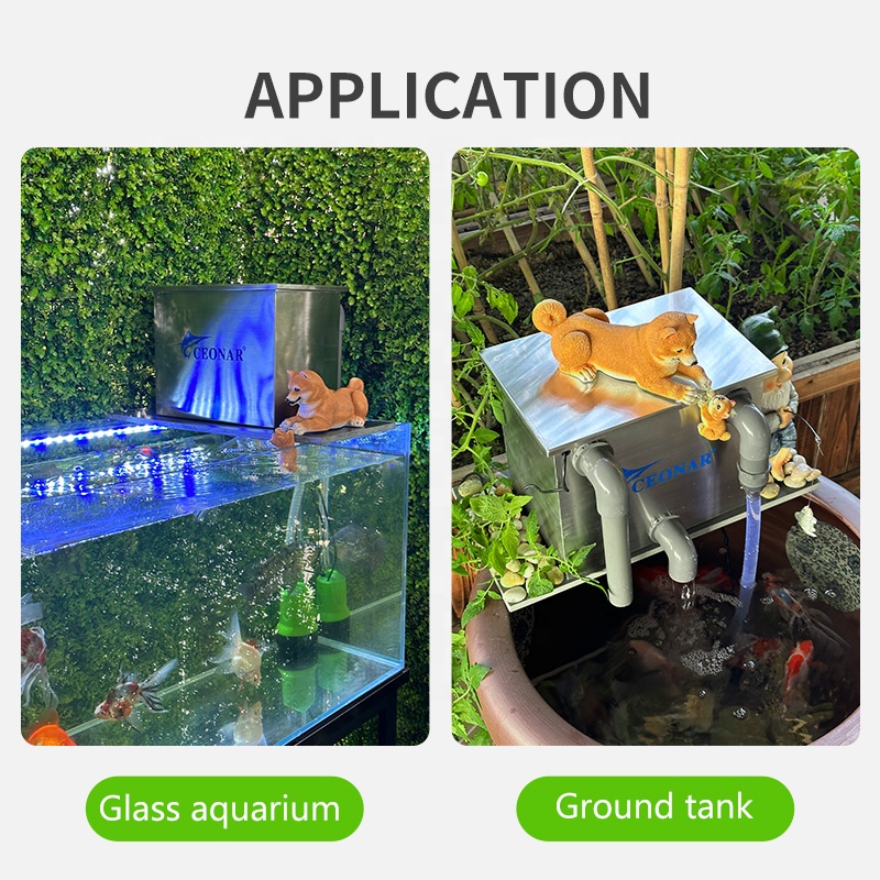 Factory Direct Sales Aquarium  - Aquarium Fish For Sale incelemesi ve fiyatı