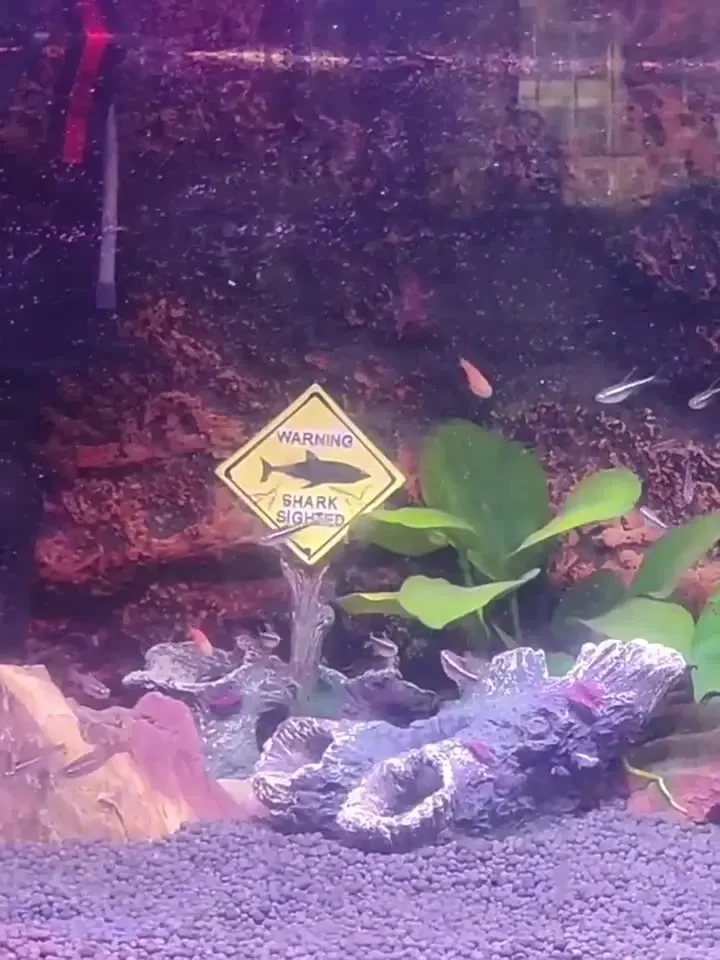 Resin Aquarium Decorative Orna - Aquarium Fish Shark incelemesi ve fiyatı